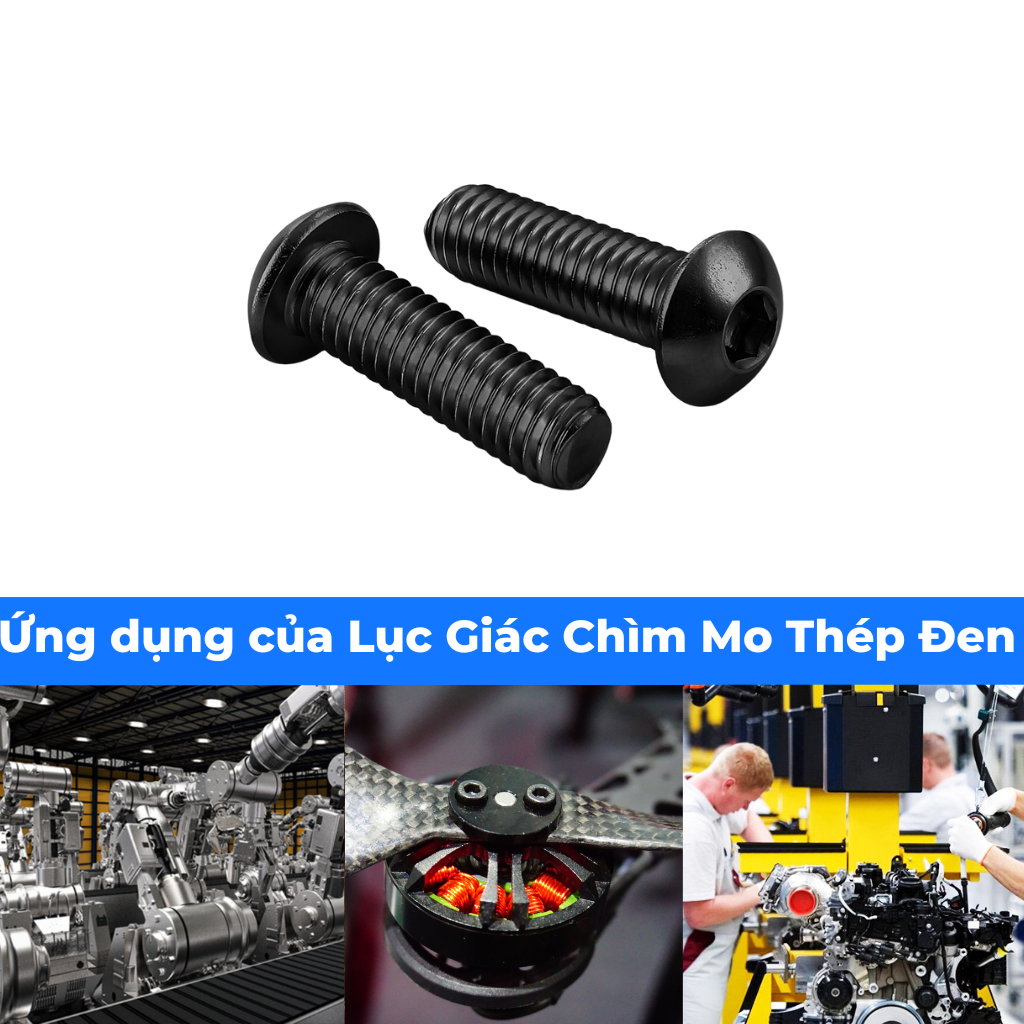 Lục Giác Chìm Mo Thép Đen 10.9 ISO7380 M6x40 - Ảnh 6