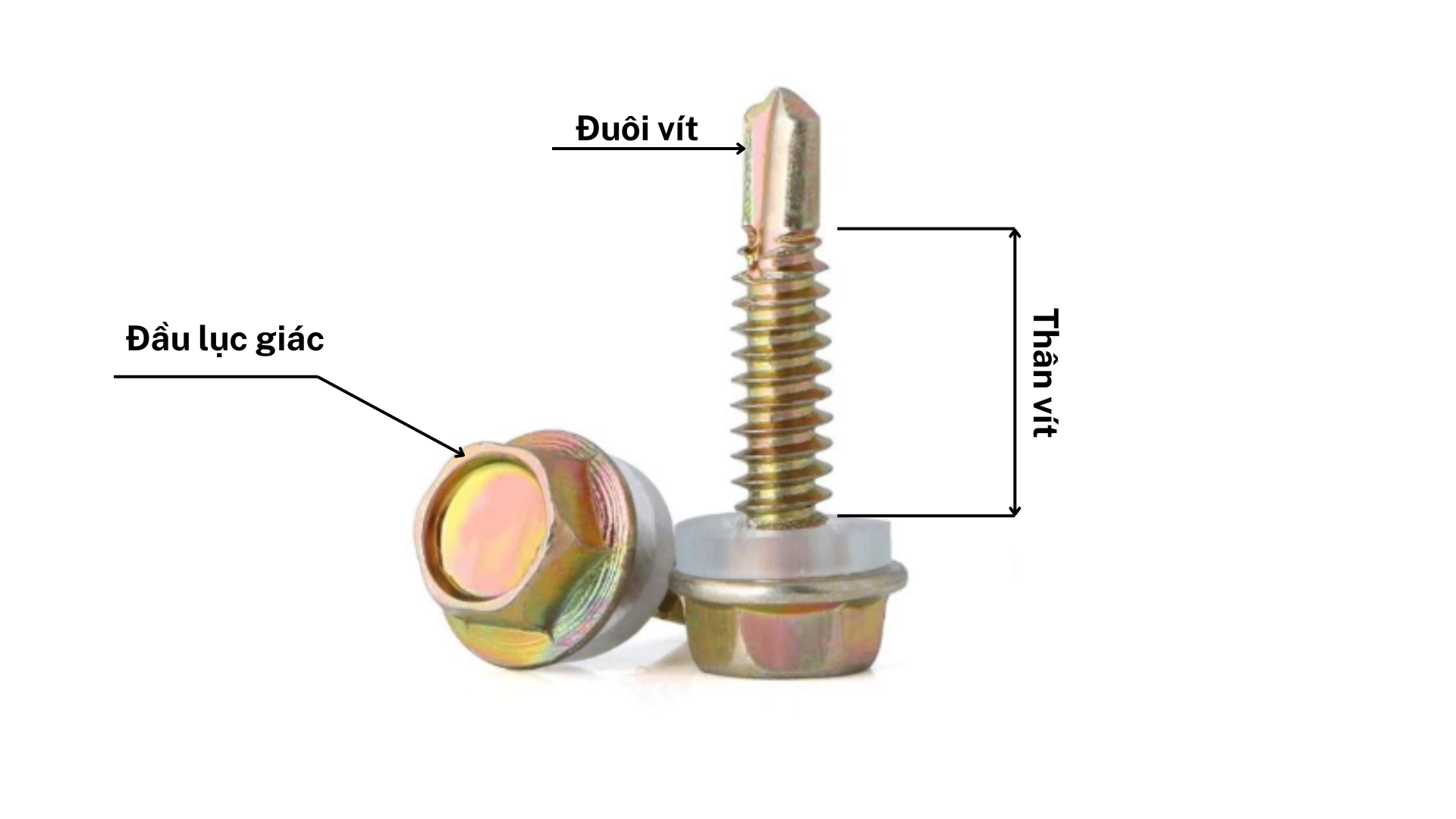 Bảng vẽ cấu tạo chi tiết của Vít Tôn Dinosaur