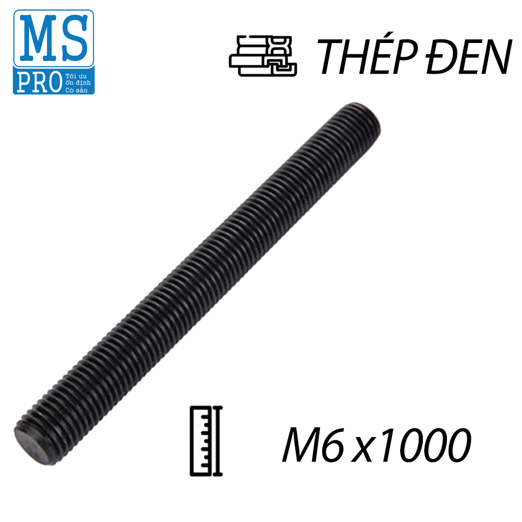 Ty Ren Thép Đen 8.8 M6x1000