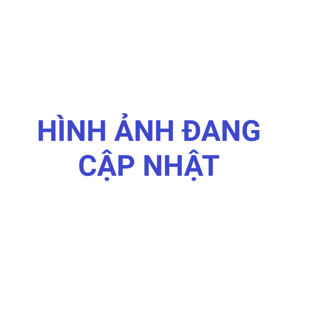 Khớp Chữ Thập (Ggs 3000 L) Dùng Cho Máy GGS 5000L Bosch 1619P09262