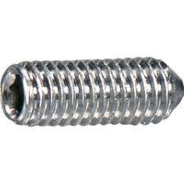 Vít Trí Đuôi Bằng Inox 304 M2.5x4 NBK Dòng SNTS-FP