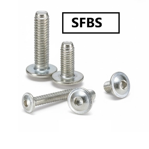 Lục Giác Chìm Đầu Mo Có Vành Inox 304 M6x12 NBK Dòng SFBS