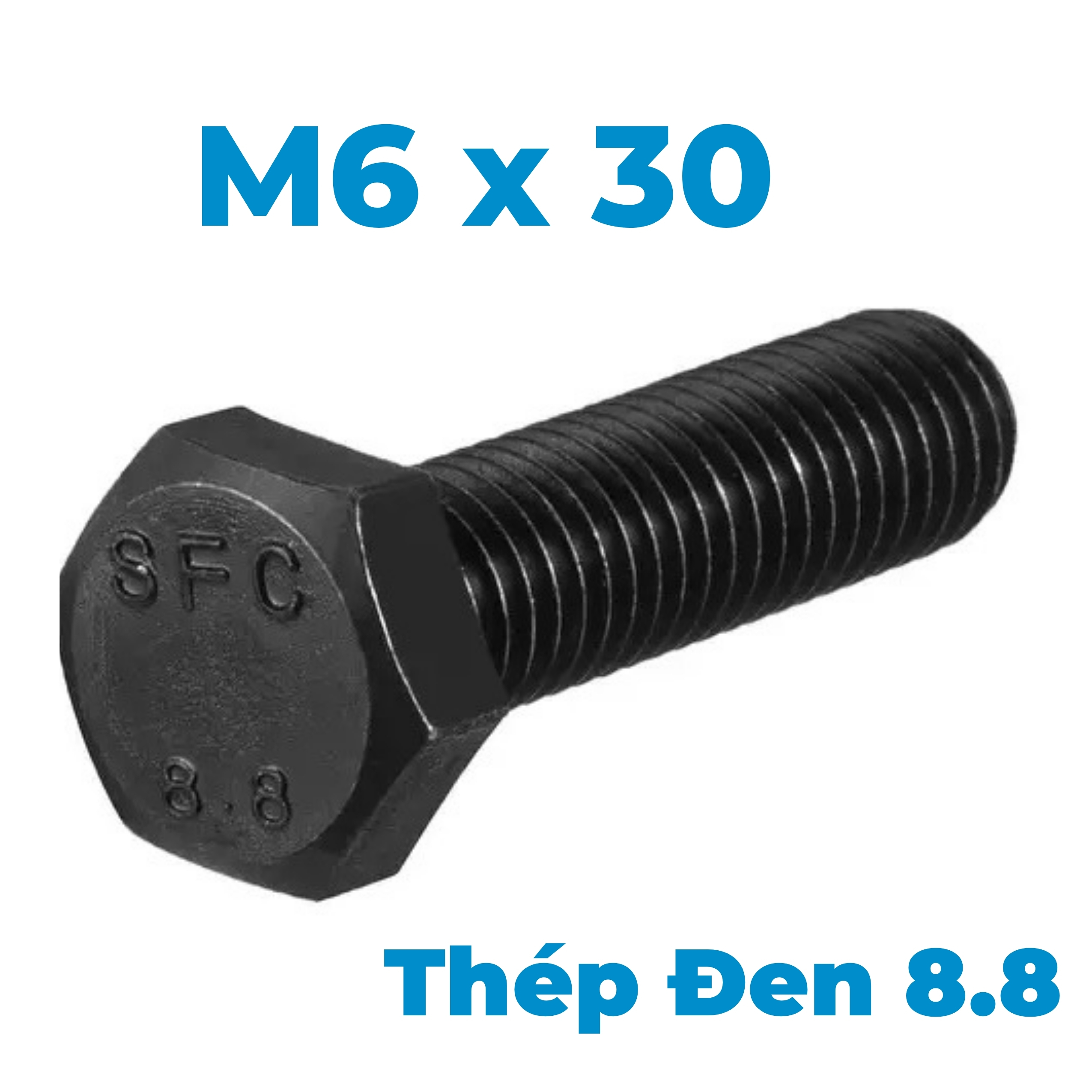 Bulong Thép Đen 8.8 DIN933 M6x30