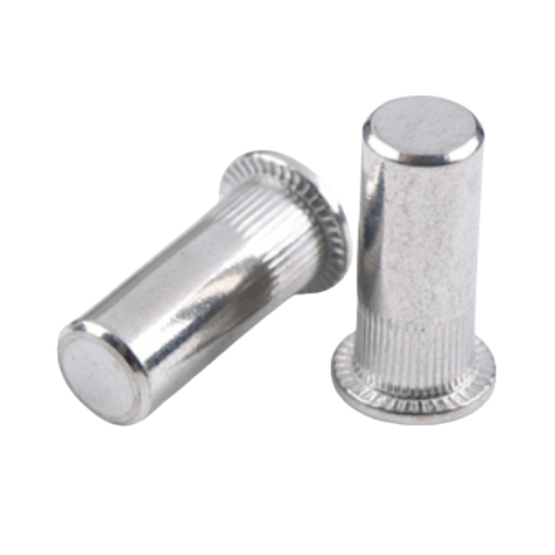 Tán Rút (Nutsert) Bít Đầu Inox 304 M6