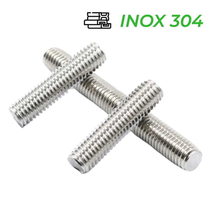 Guzong Inox 304 M10x210