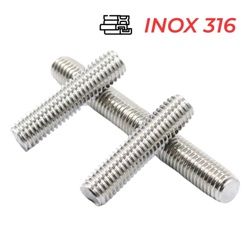 Guzong Inox 316 M20x240