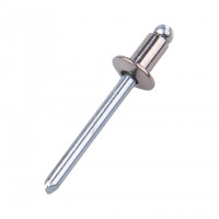 Rivet Inox 304 Chân Thép OD4.0x12mm (100 Cái)