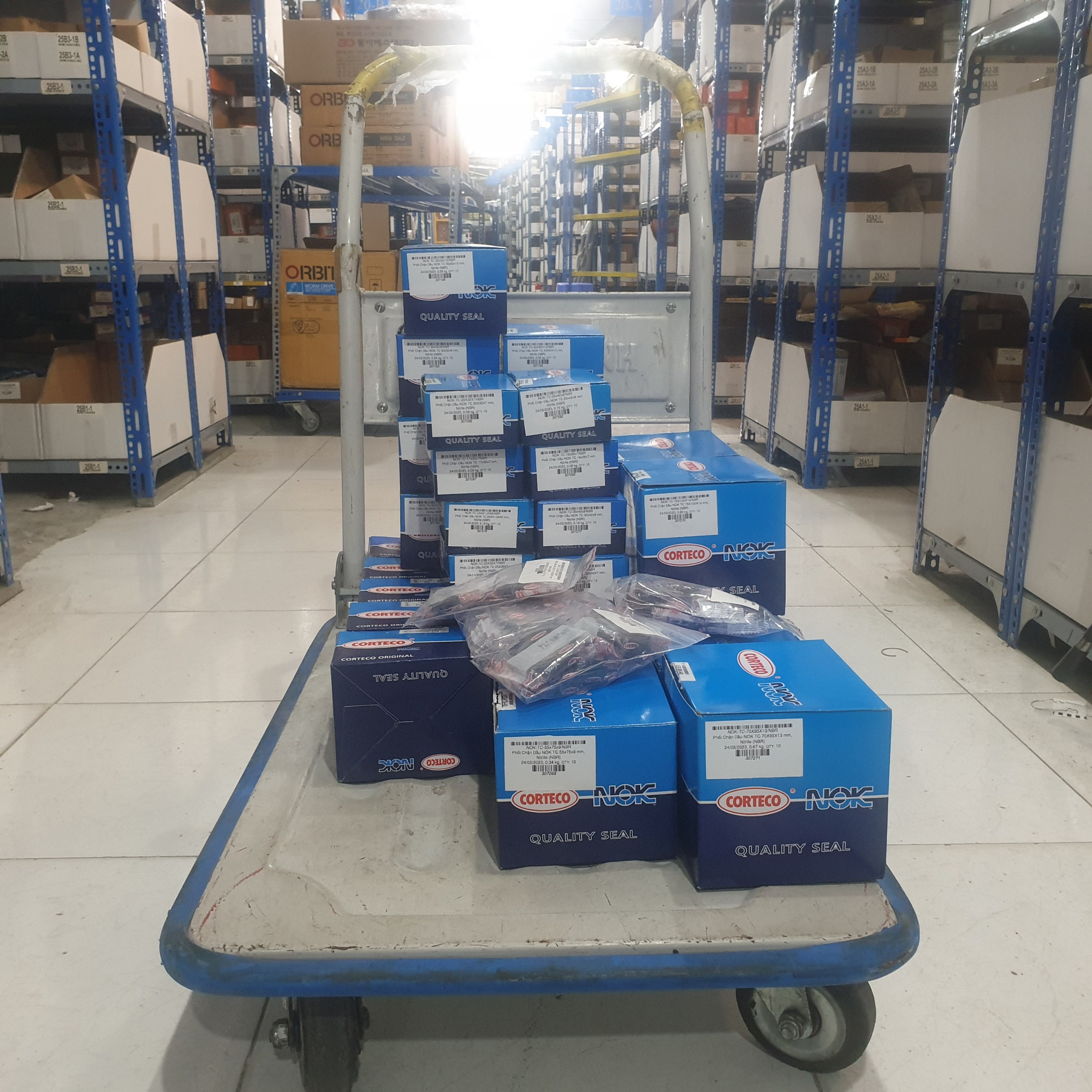 Phớt Chắn Dầu NOK TC 40x62x8 mm, Nitrile (NBR) - Ảnh 3